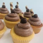 Heavenly Choc Cupcakes sydney